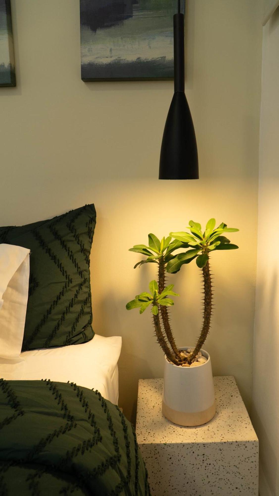 Hotel Ventura Quesada  외부 사진